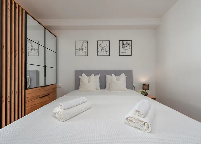 Va Le Borik زادار